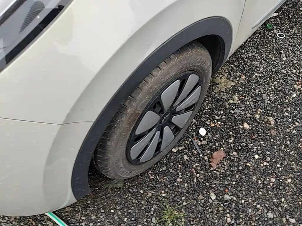 Wuling Bingo — миниатюра 21