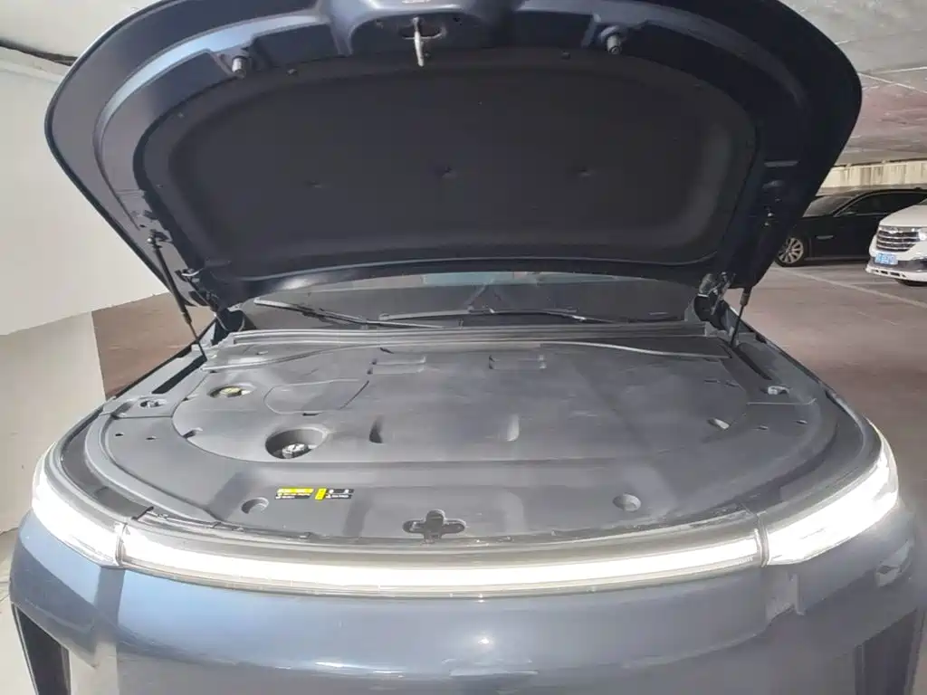 GAC Motor Trumpchi Xiangwang S9 — миниатюра 20