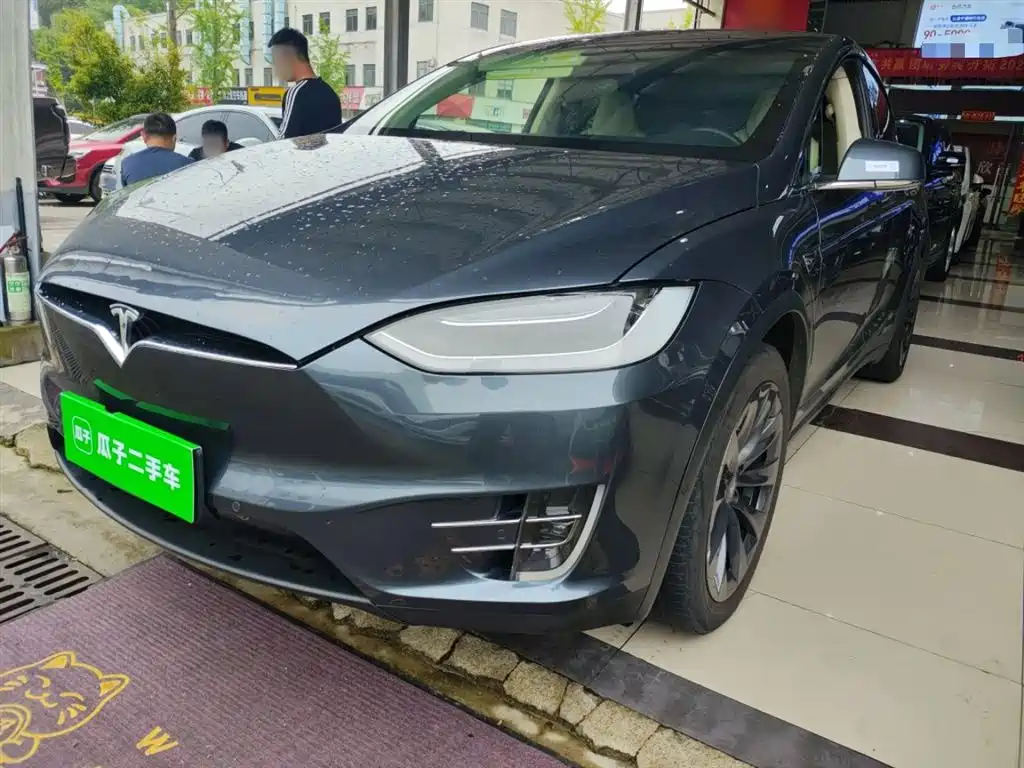 Tesla Model X 2019