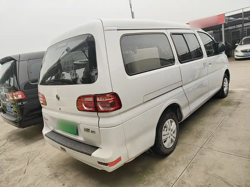 Fengxing Lingzhi — миниатюра 7