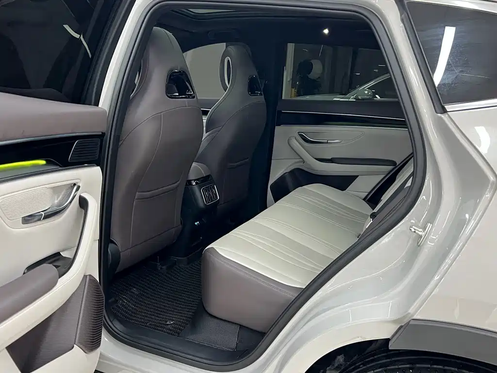 BYD PLUS New Energy — миниатюра 6