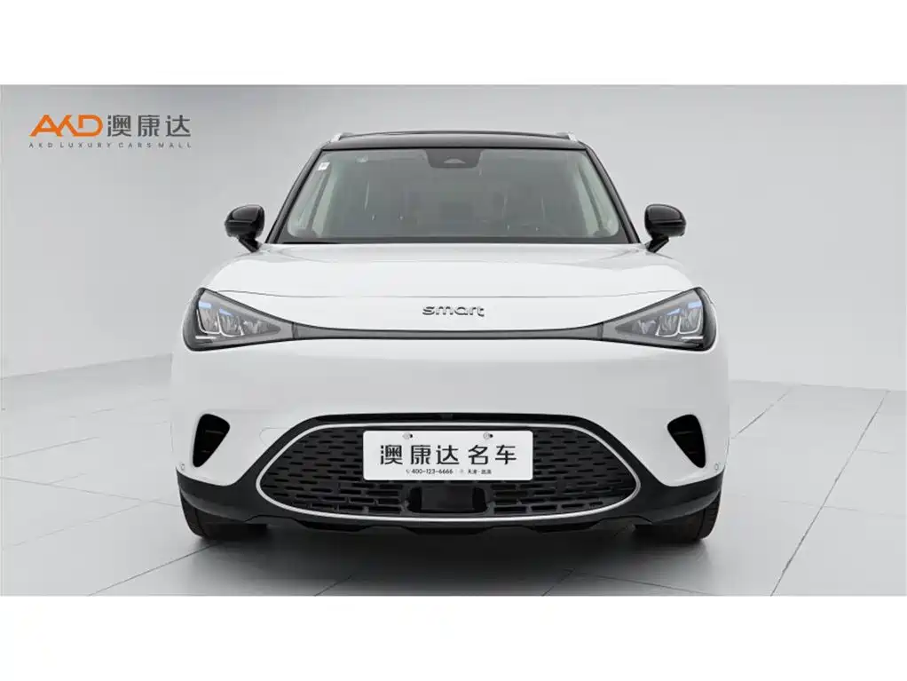 smart Smart #1 — миниатюра 2