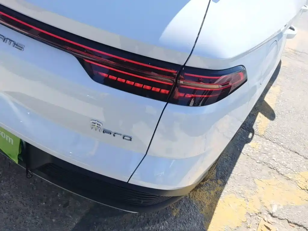 BYD Pro New Energy — миниатюра 8