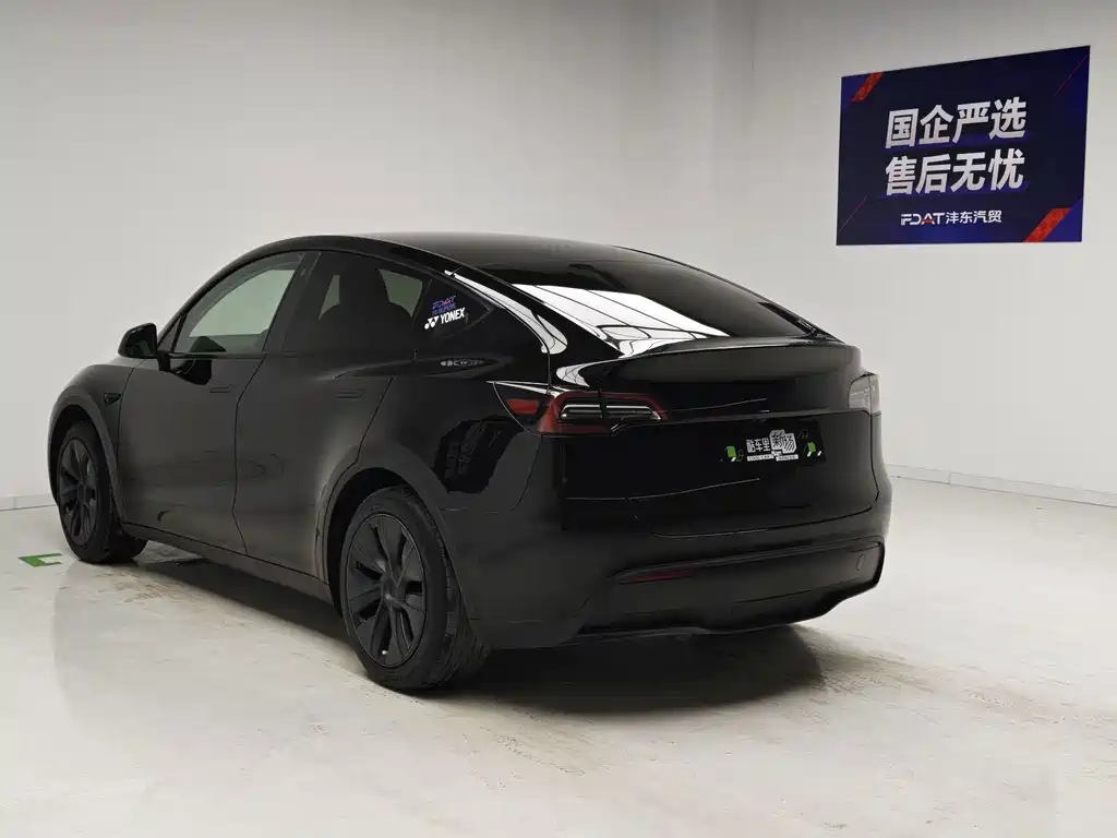 Tesla Model Y — миниатюра 6