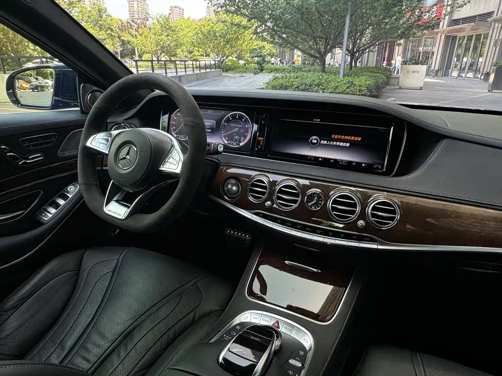 Mercedes-Benz S-Class AMG AMG S 63 L 4MATIC, фото 30