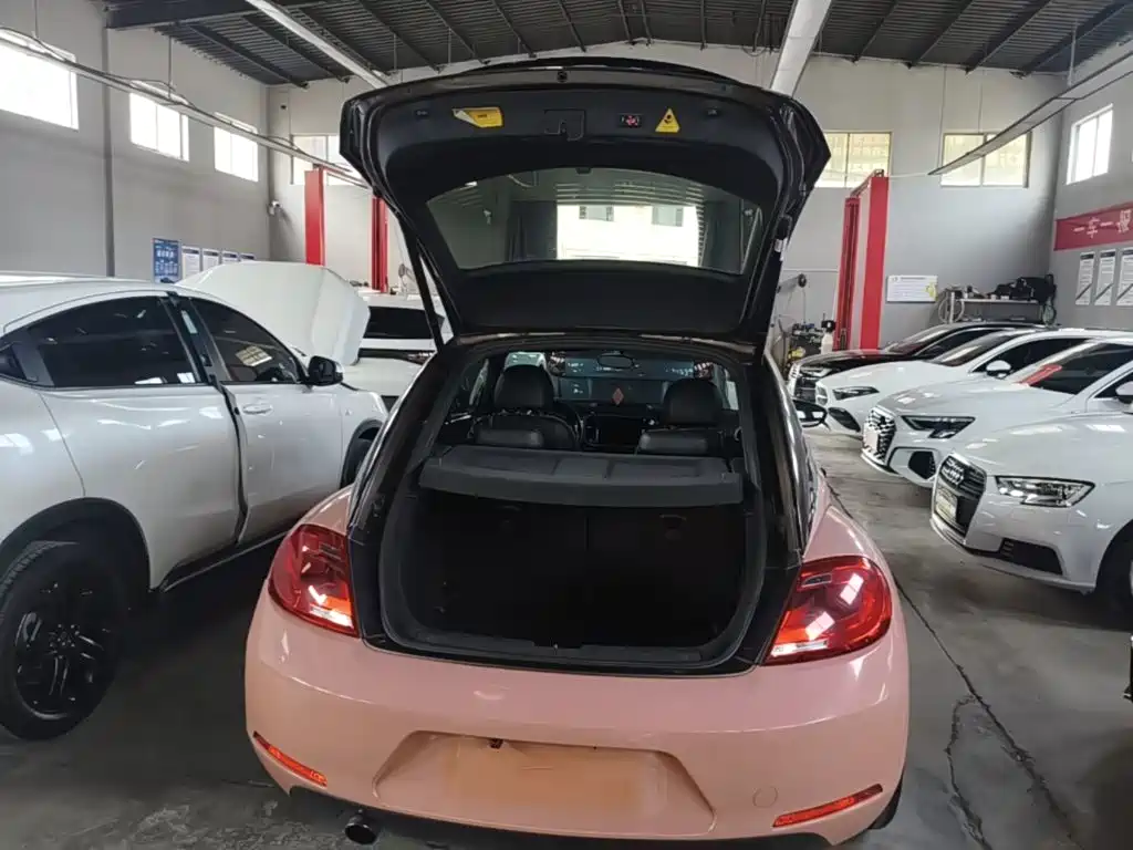 Volkswagen Beetle — миниатюра 19