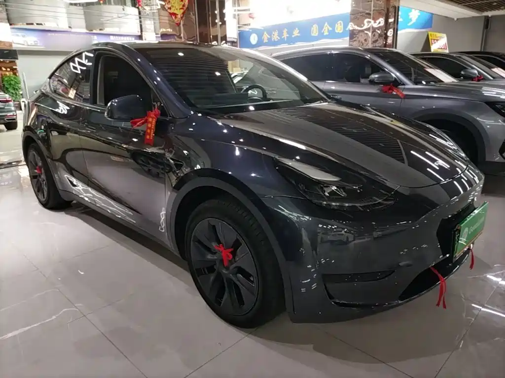 Tesla Model Y — миниатюра 4