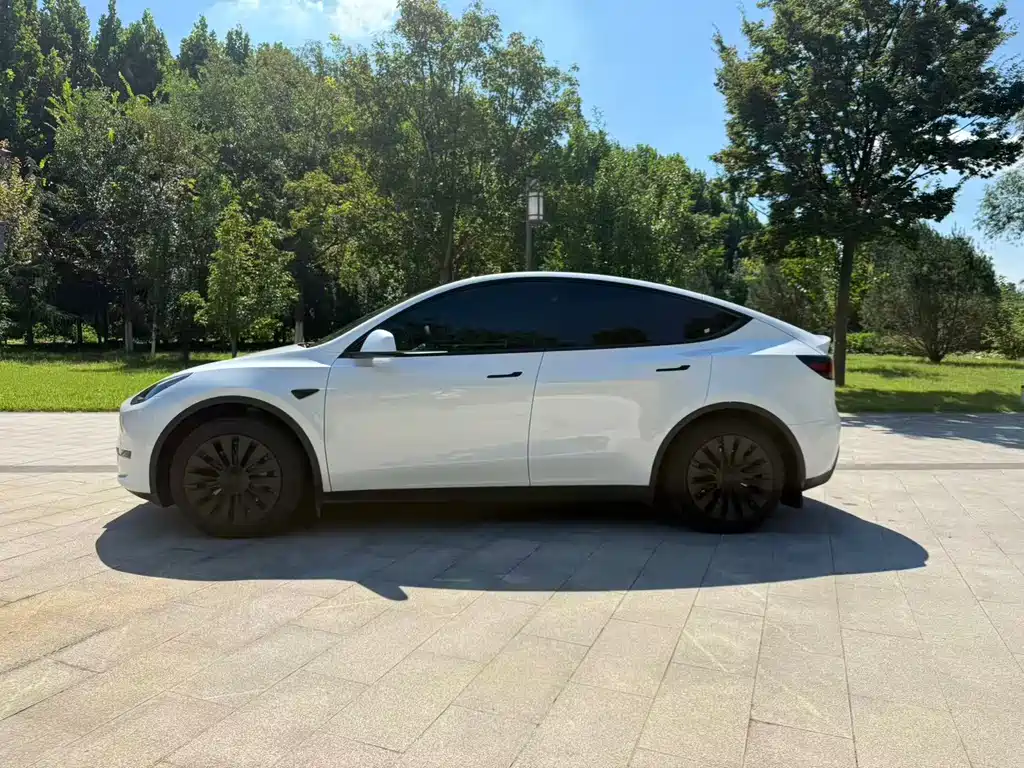 Tesla Model Y — миниатюра 5