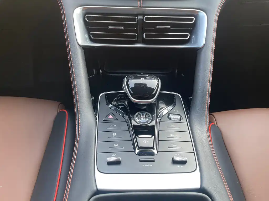 BYD PLUS — миниатюра 20