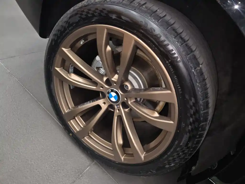 BMW X6 — миниатюра 24