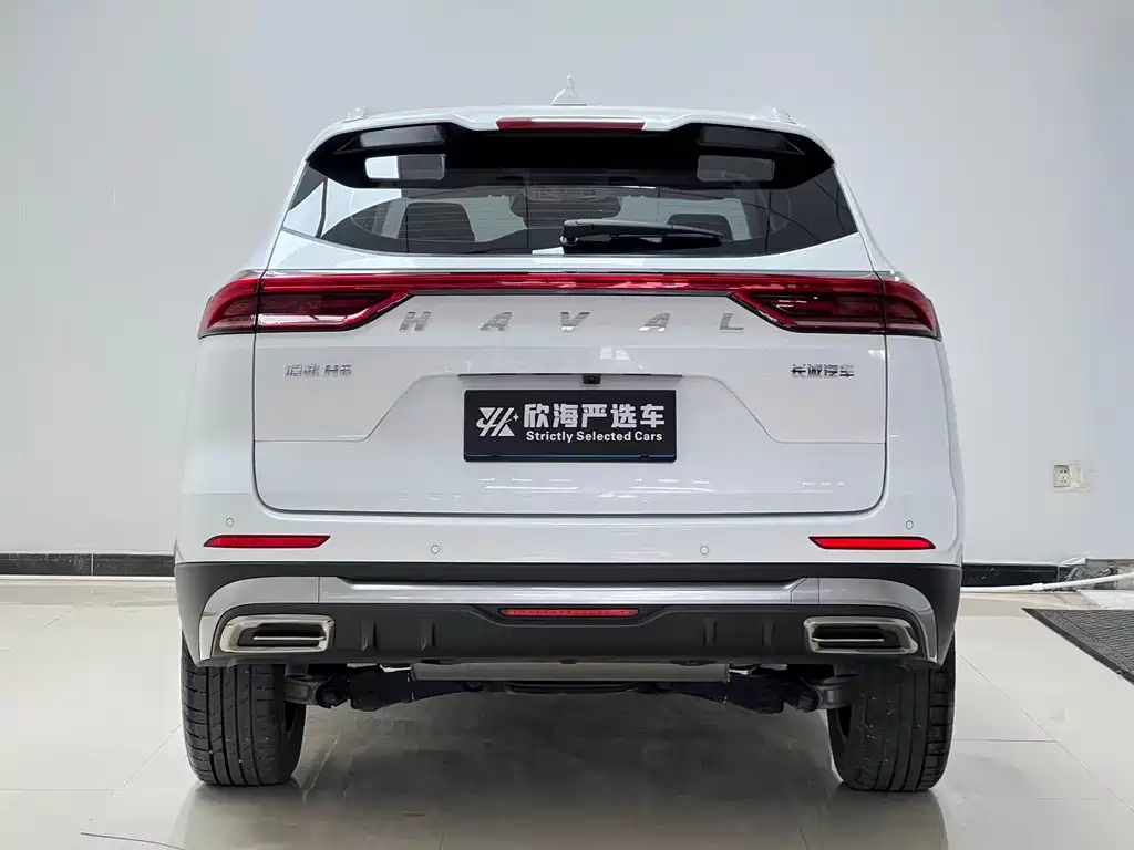 Haval H6 — миниатюра 5