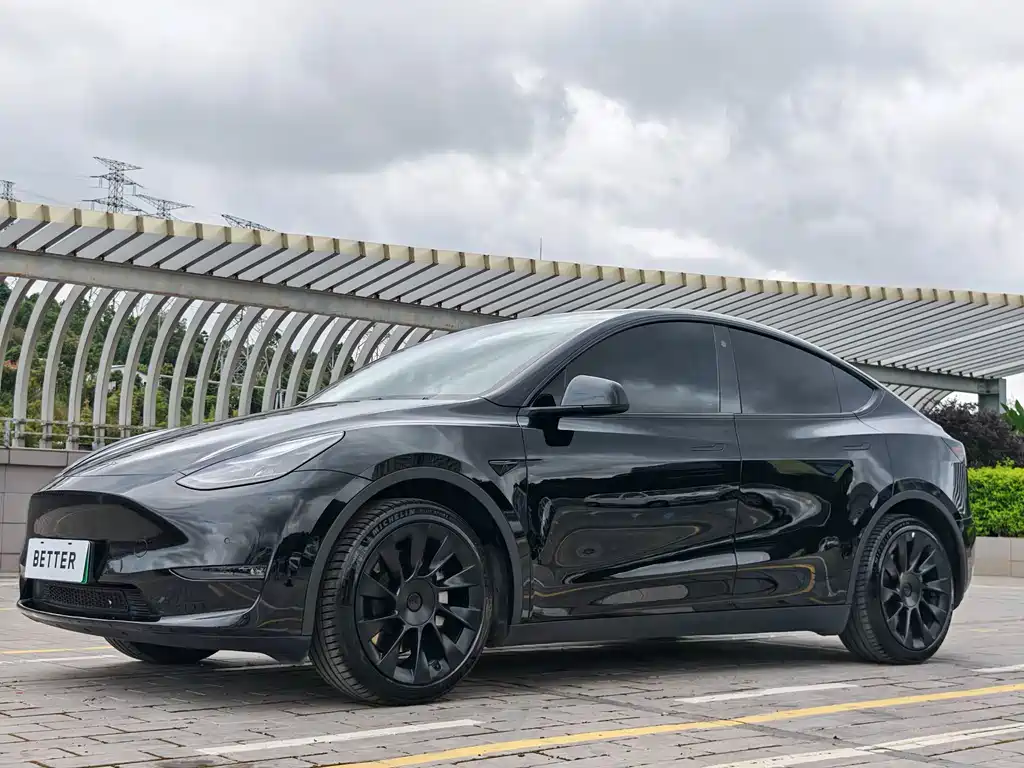 Tesla Model Y — миниатюра 2
