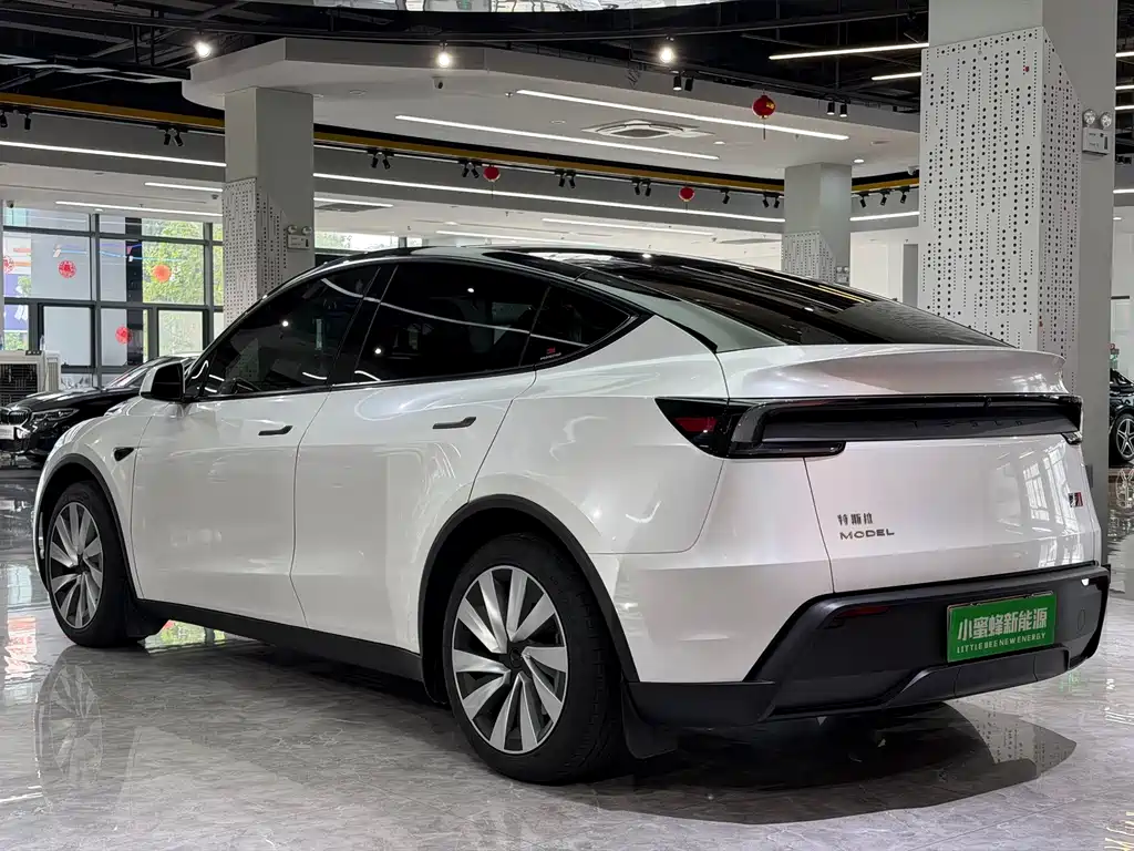 Tesla Model Y — миниатюра 14