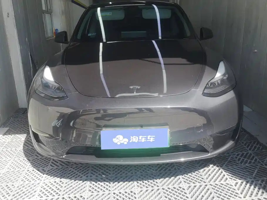 Tesla Model Y — миниатюра 2