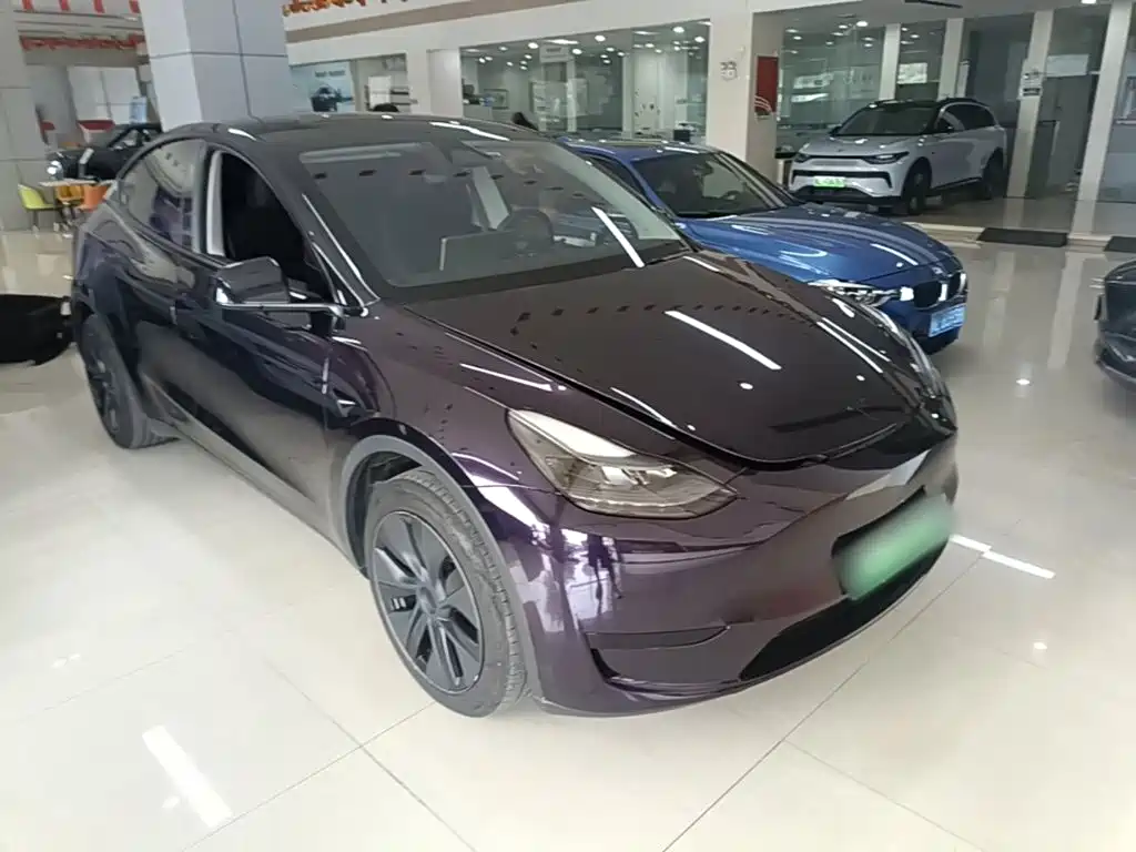 Tesla Model Y — миниатюра 4