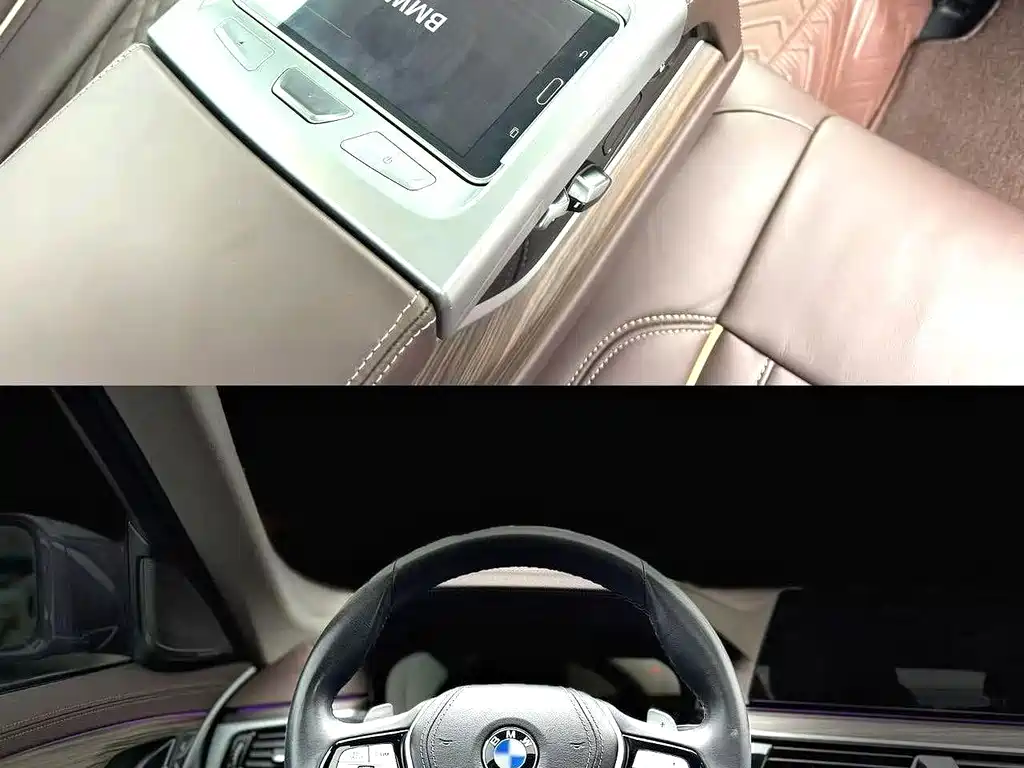 BMW 5 Series 5 2020 530Li Premium Luxury