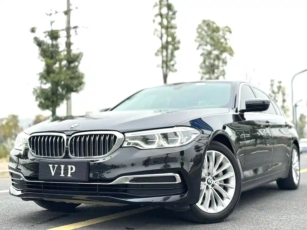 BMW 5 Series 5 2020 530Li Premium Luxury