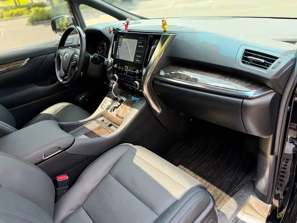 Toyota Alphard — миниатюра 17