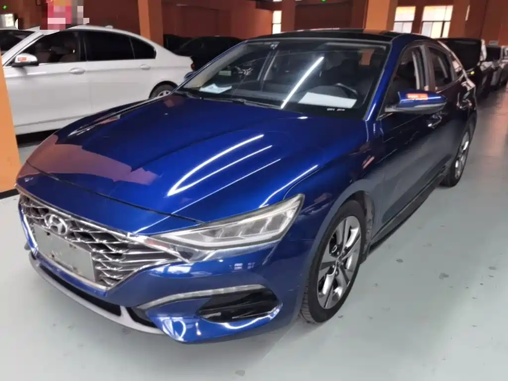 Hyundai Fista — миниатюра 2