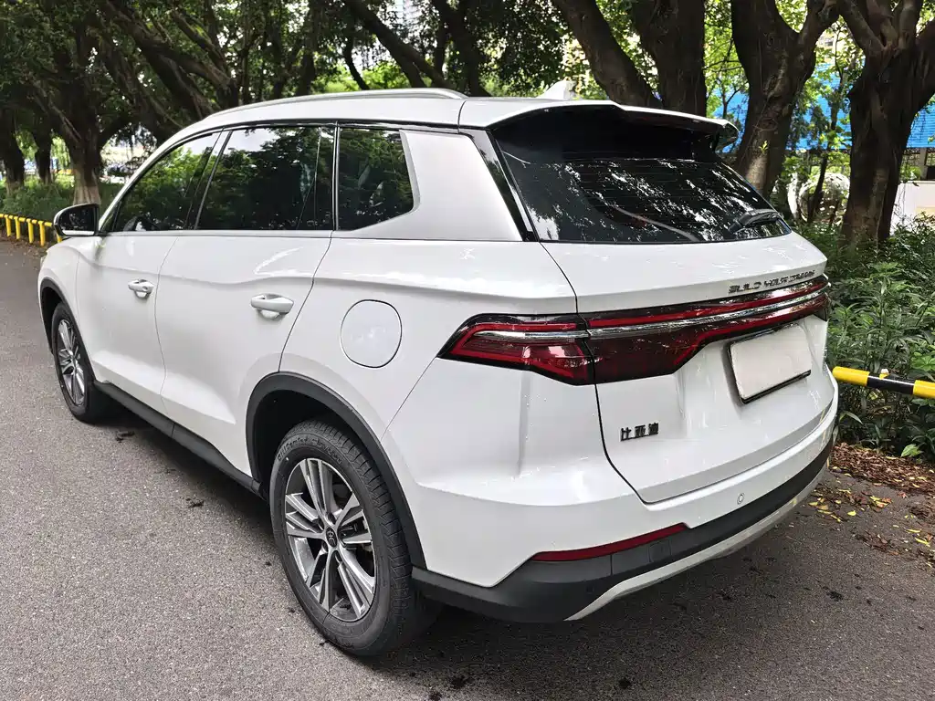 BYD Pro — миниатюра 5