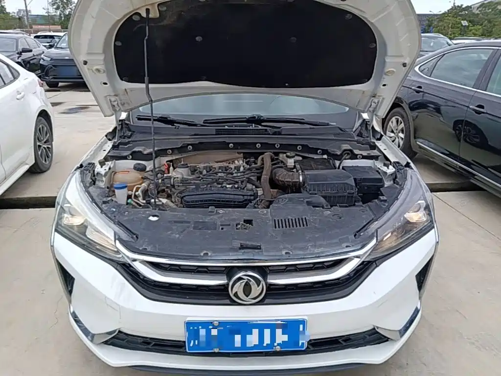 Aeolus Yixuan — миниатюра 20