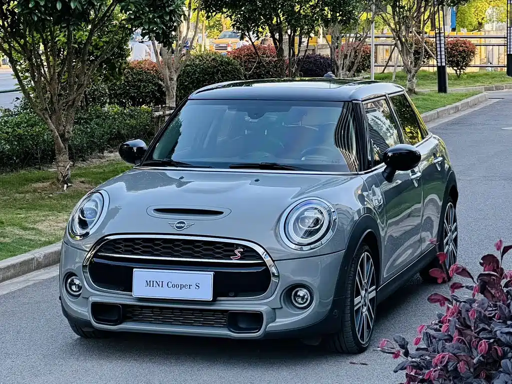 Mini Mini 2021