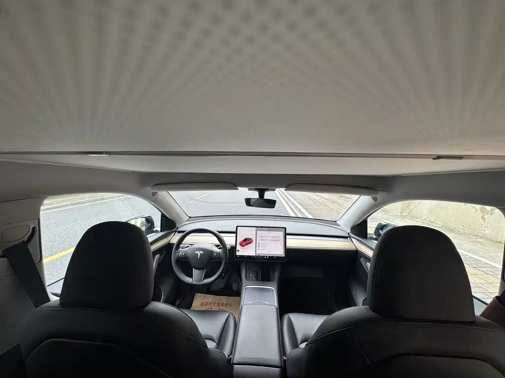Tesla Model Y — миниатюра 10