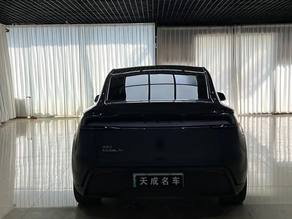 Tesla Model Y — миниатюра 5