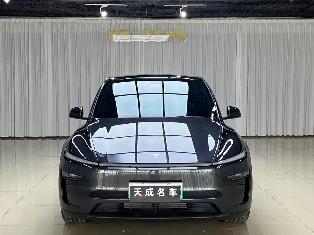 Tesla Model Y — миниатюра 2