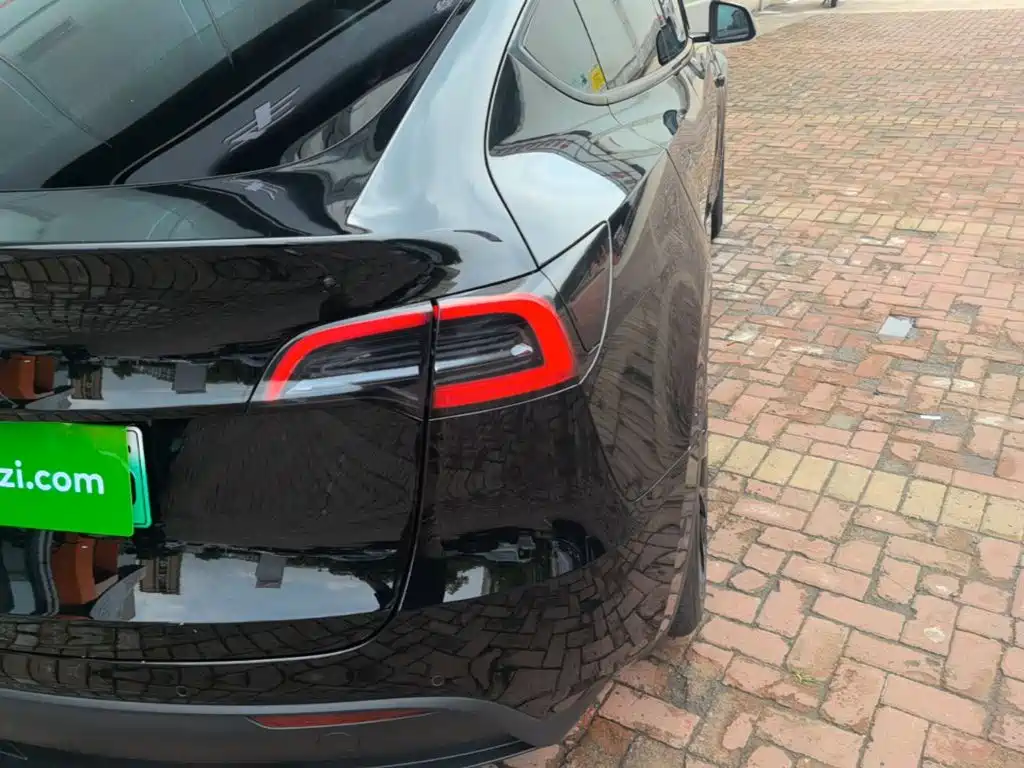 Tesla Model Y — миниатюра 8
