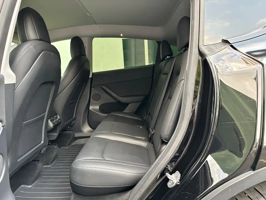 Tesla Model Y — миниатюра 9
