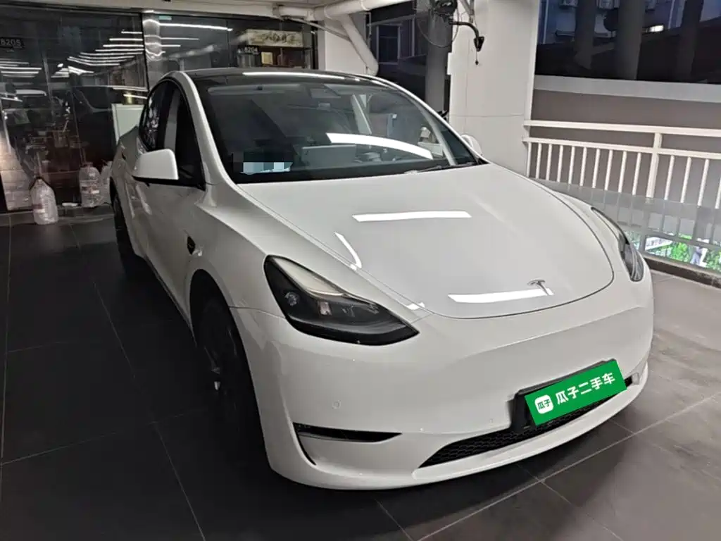 Tesla Model Y — миниатюра 4