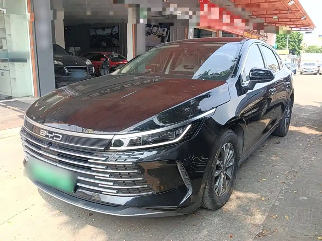 BYD Destroyer 05 — миниатюра 2