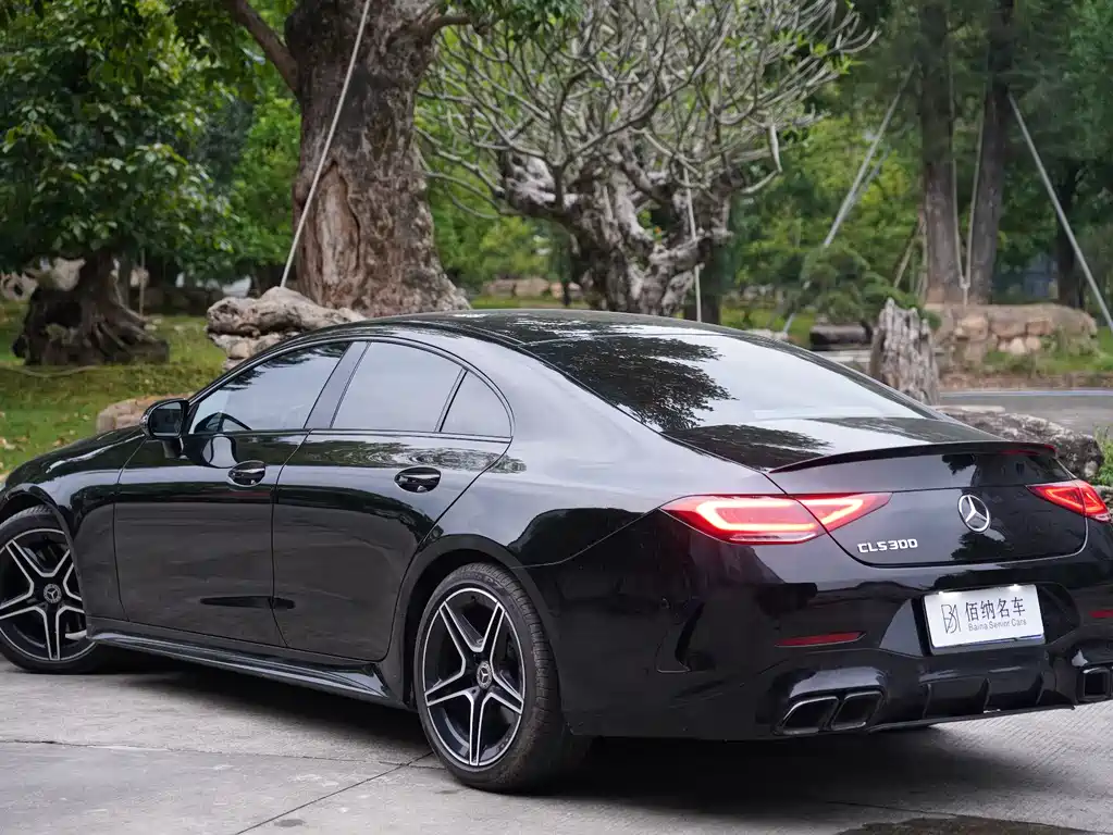 Mercedes-Benz CLS 2021 CLS 300 Luxury