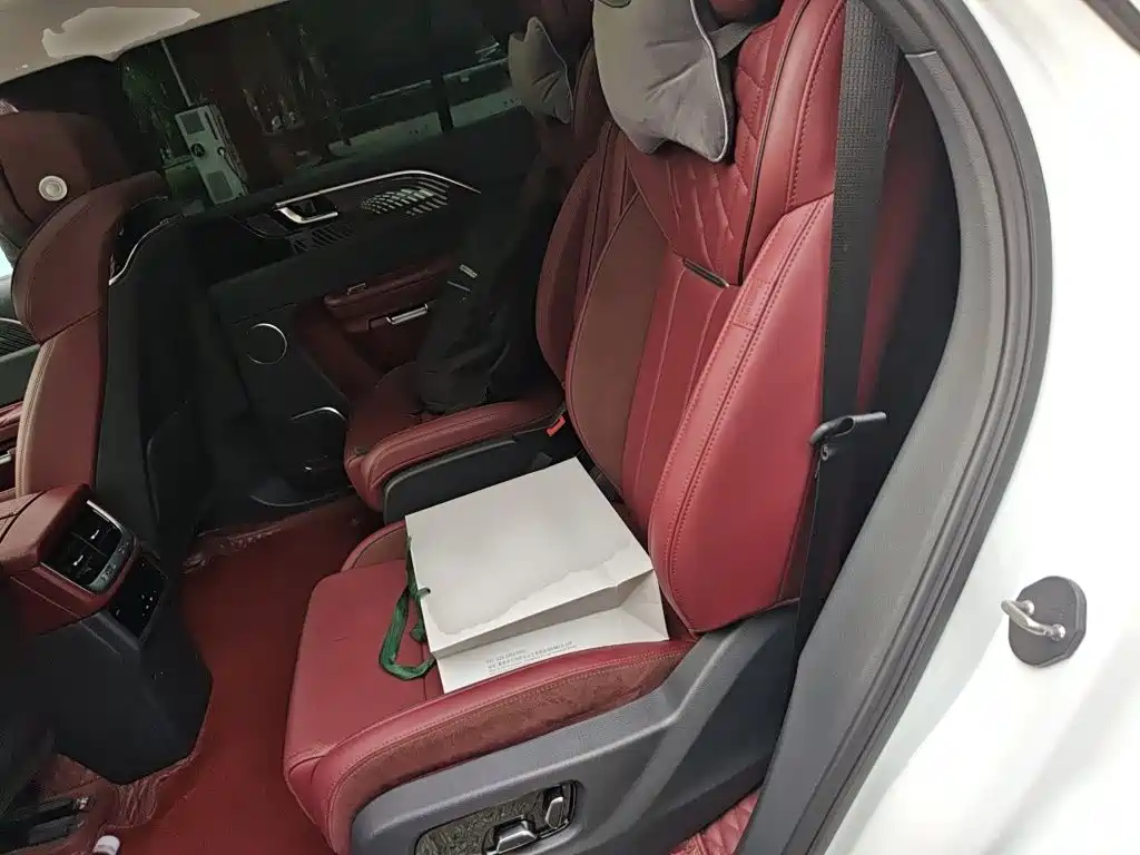Hongqi Hongqi E-HS9 — миниатюра 13