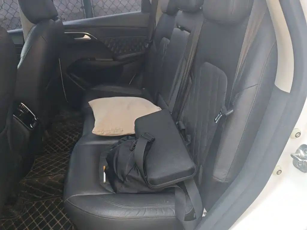 Borgward BX7 — миниатюра 18