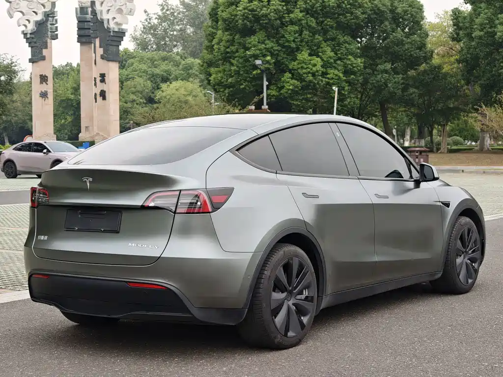 Tesla Model Y — миниатюра 5