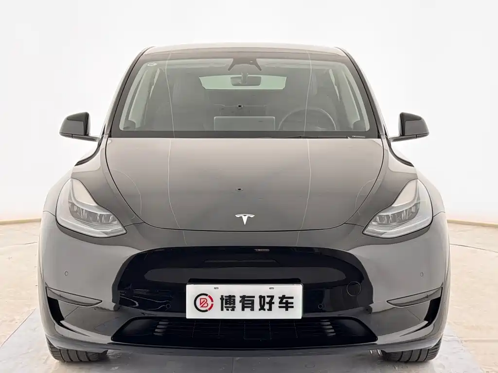 Tesla Model Y — миниатюра 2