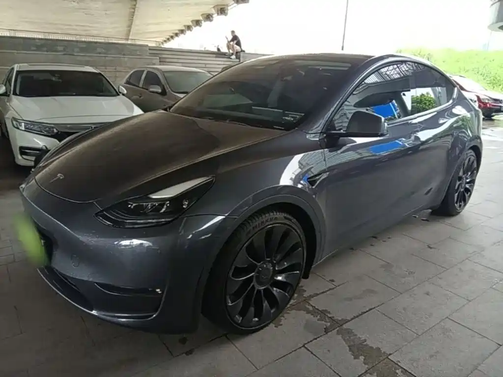 Tesla Model Y — миниатюра 2
