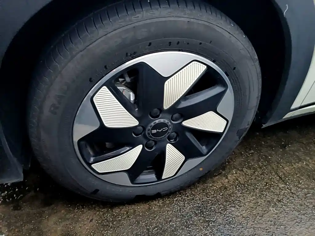 BYD Dolphin — миниатюра 23
