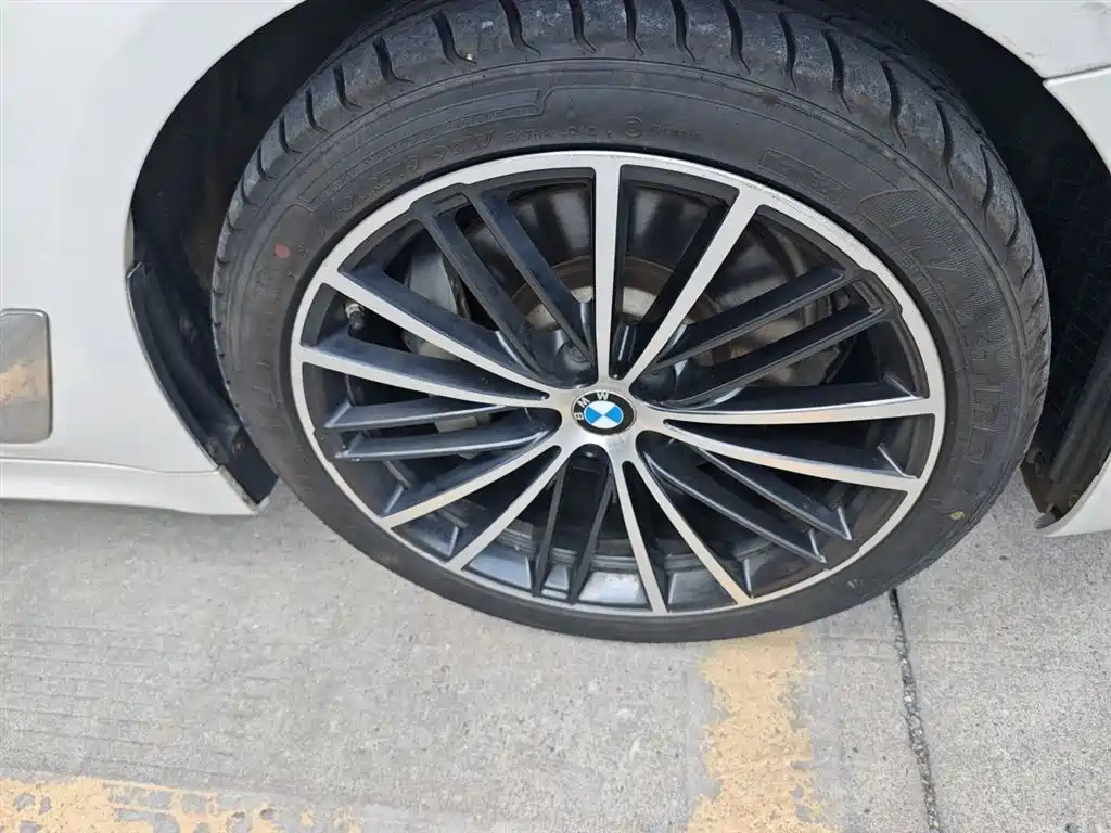 BMW 5 Series 5 2020 530Li Premium M Sport