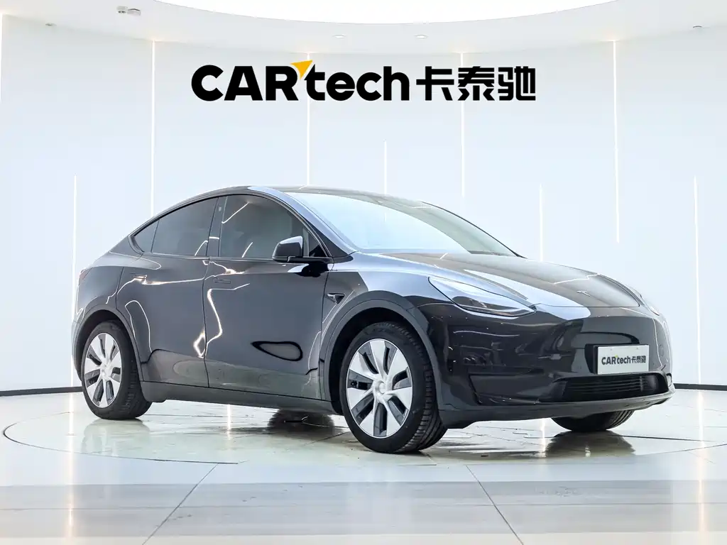 Tesla Model Y — миниатюра 7