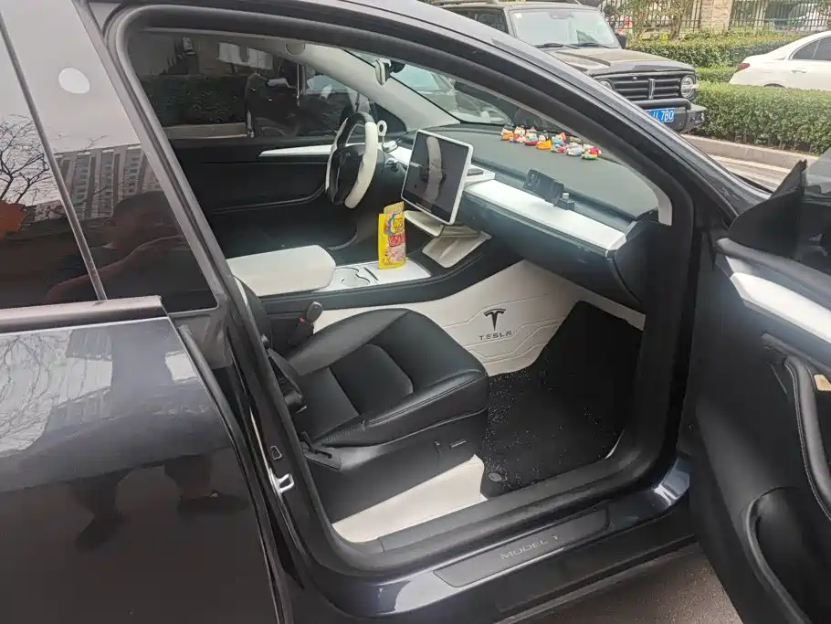 Tesla Model Y — миниатюра 8
