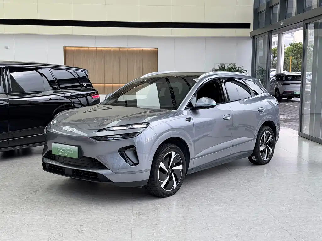 Byd 海狮06 2025