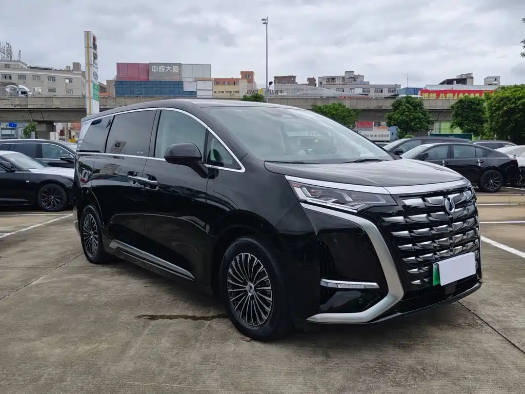 Denza Denza D9 — миниатюра 4