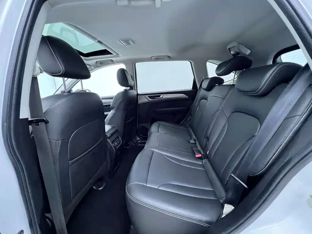 Haval M6 PLUS 1.5T DCT Liuyan Co-Branded Edition, фото 6