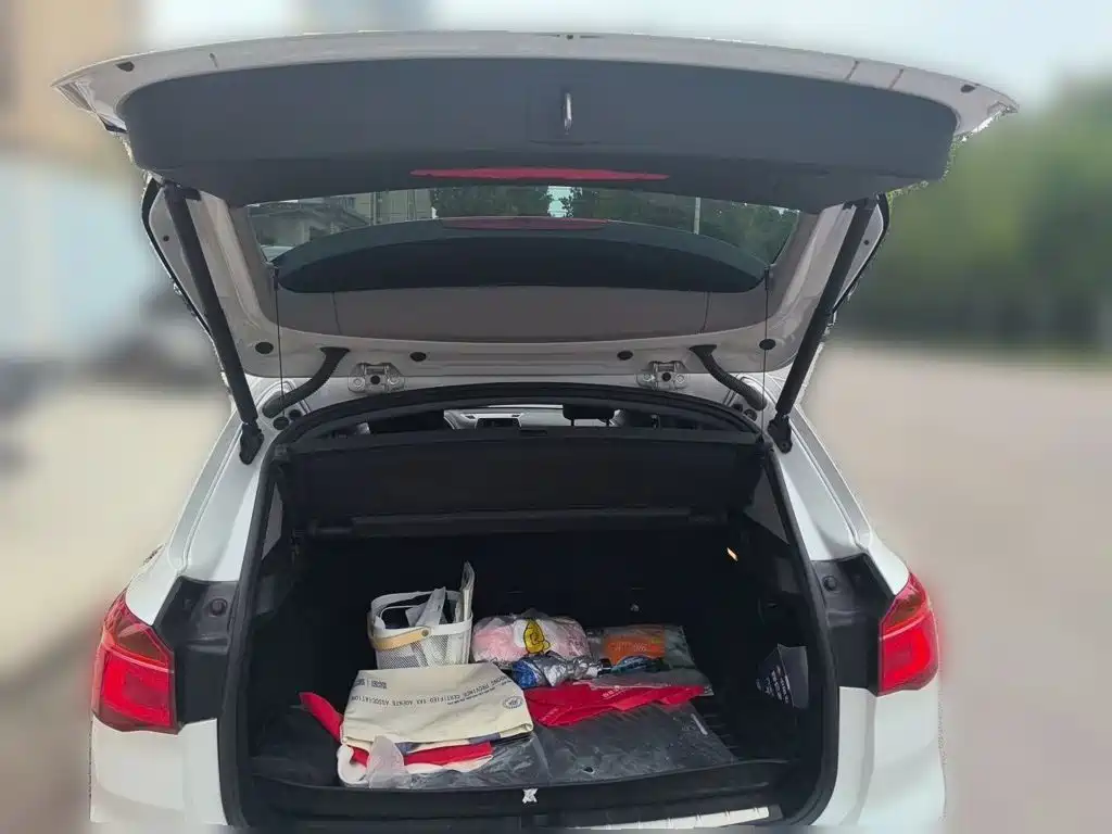 BMW X1 — миниатюра 18