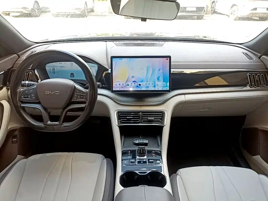 BYD PLUS New Energy — миниатюра 10