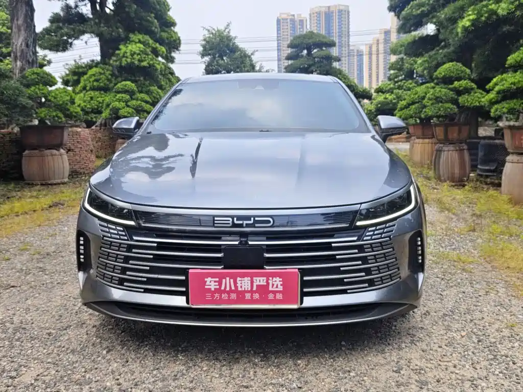 BYD Destroyer 05 — миниатюра 2