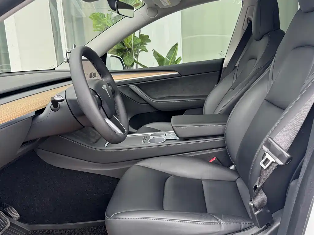 Tesla Model Y — миниатюра 6